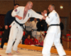 Danish Open Karate Tounament